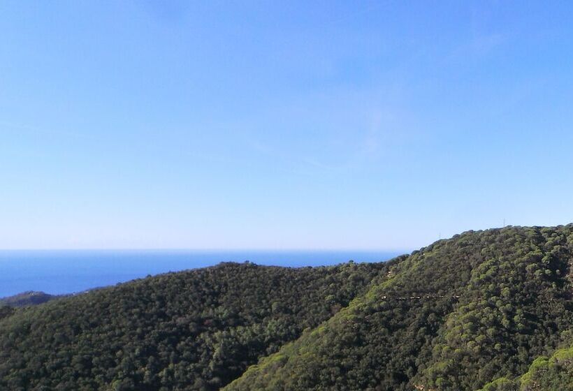 تختخواب و صبحانه La Roqueta