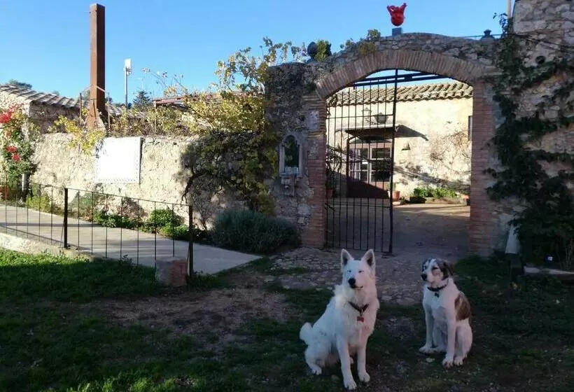 Mas Del Llop Blanc   Dog Friendly Hostal Rural   B&b