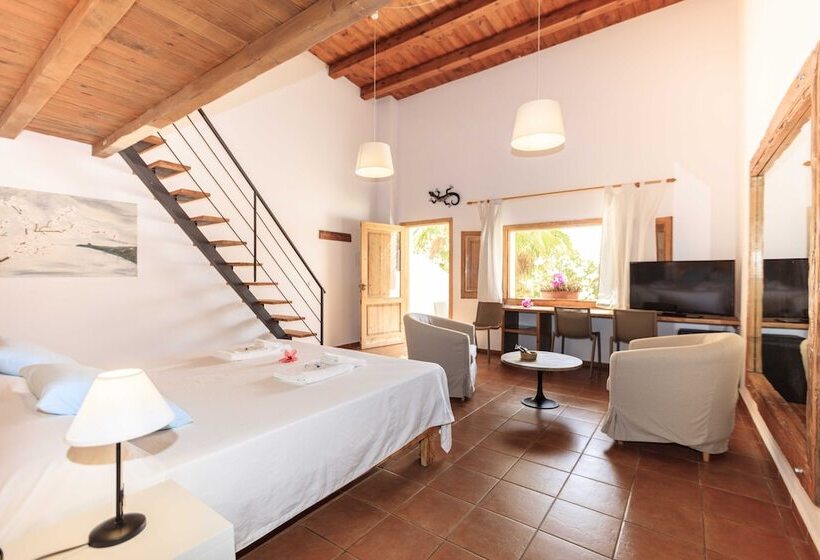 فندق ريفى Es Pas Formentera Agroturismo