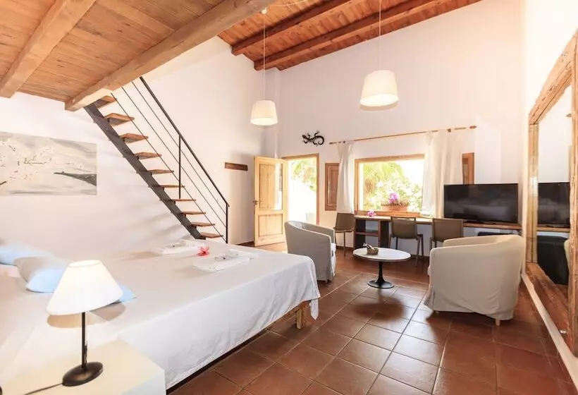 田舎風ホテル Es Pas Formentera Agroturismo