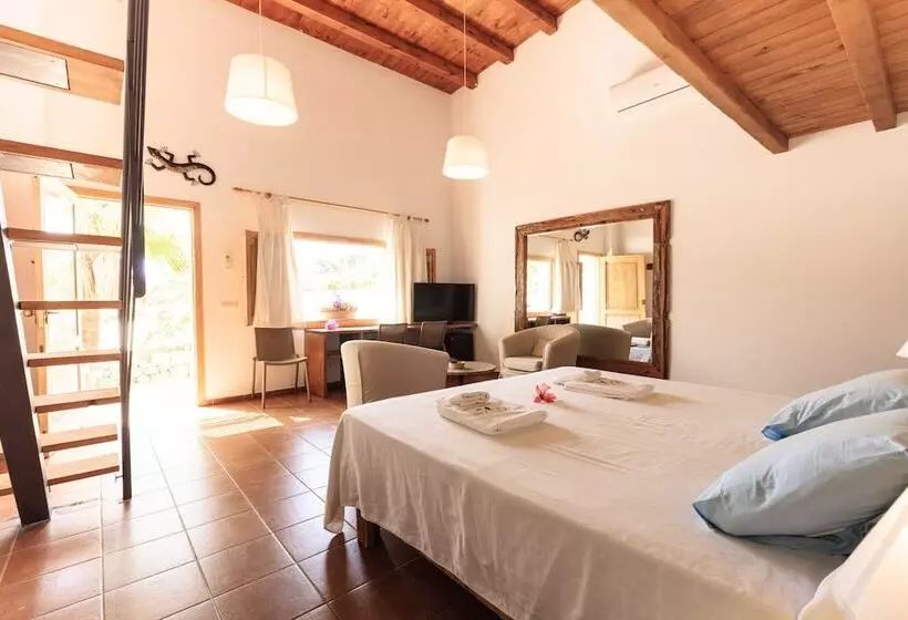 田舎風ホテル Es Pas Formentera Agroturismo