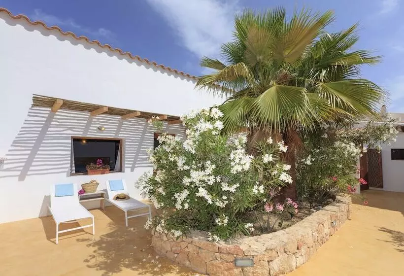 田舎風ホテル Es Pas Formentera Agroturismo