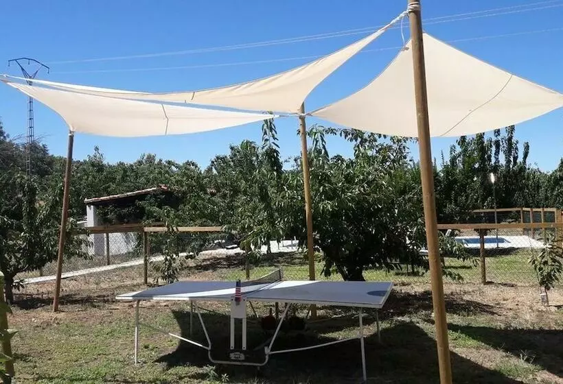ペンション Casa Rural El Cerezal Del Jerte