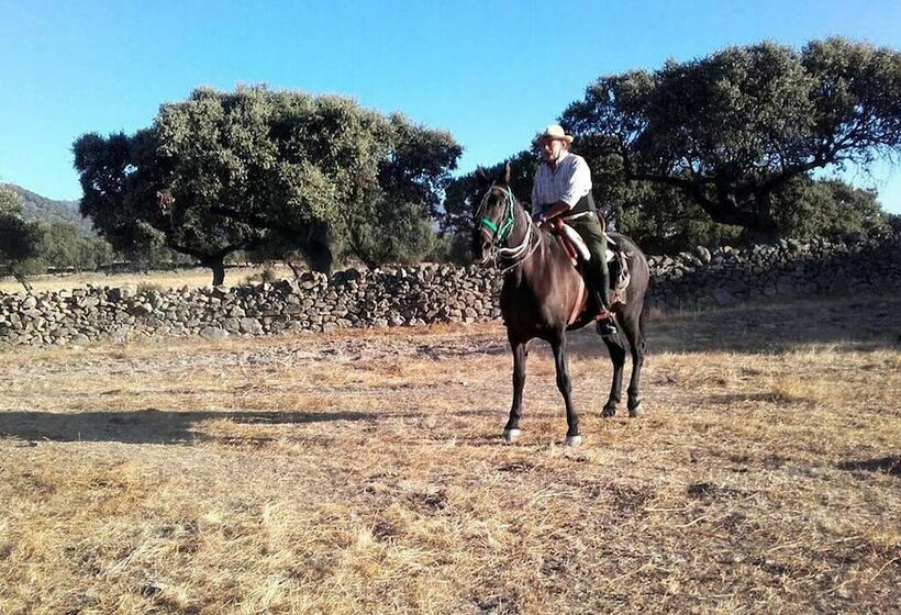 بنسيون Finca Las Gamitas