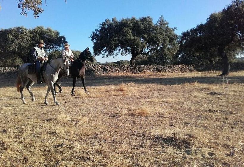 بنسيون Finca Las Gamitas