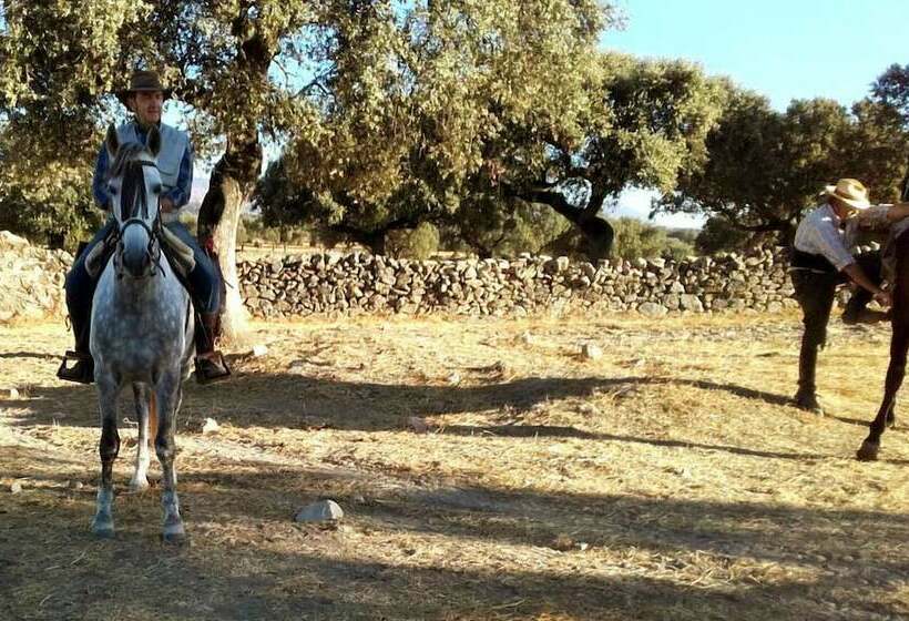 بنسيون Finca Las Gamitas