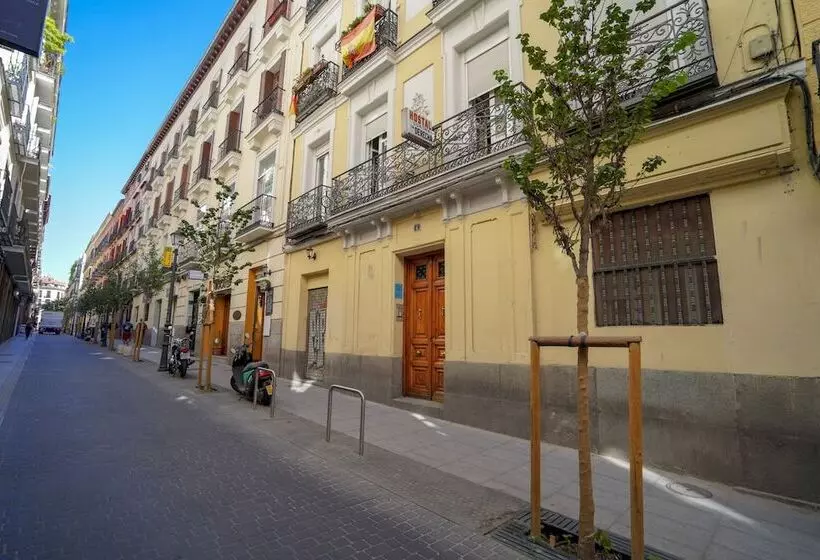 پانسیون New Go Inn