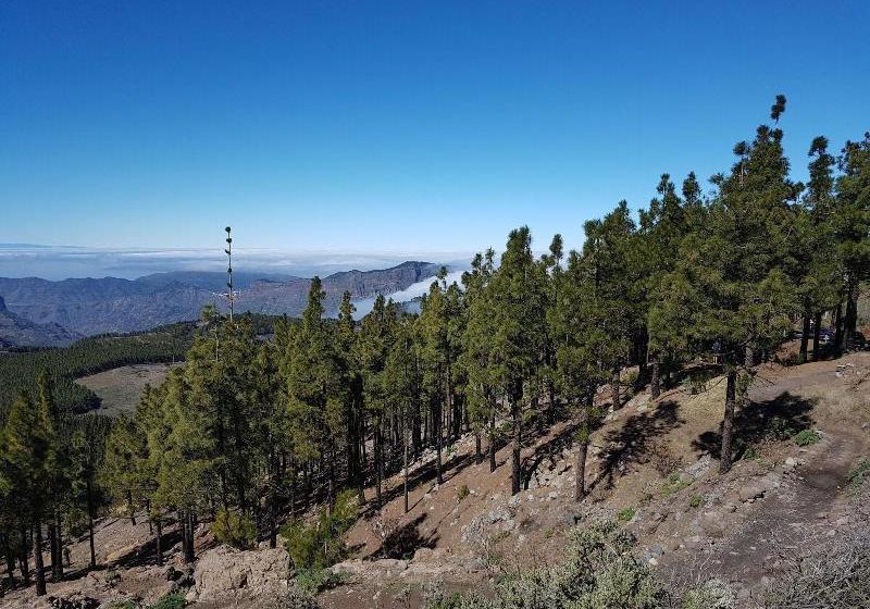 Rickaty Lodge Bed And Breakfast, Hotel De Aeropuerto, Plane Spotting Hotel, Las Palmas Airport, Gran