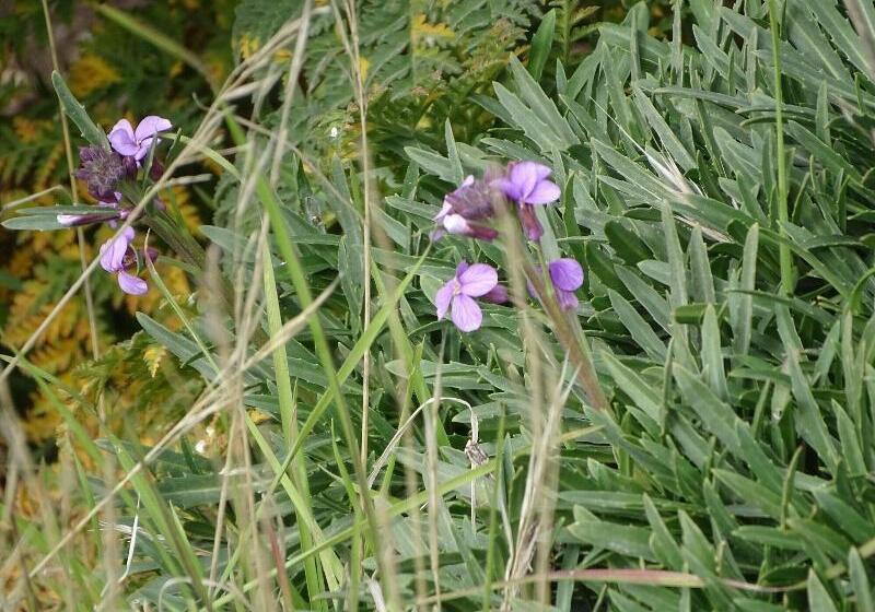 Rickaty Lodge Bed And Breakfast, Hotel De Aeropuerto, Plane Spotting Hotel, Las Palmas Airport, Gran