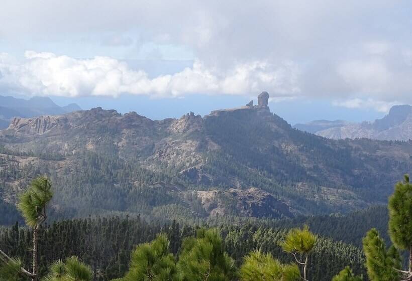 Rickaty Lodge Bed And Breakfast, Hotel De Aeropuerto, Plane Spotting Hotel, Las Palmas Airport, Gran