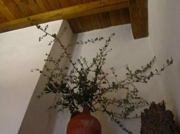 Casa Rural El Zumacal