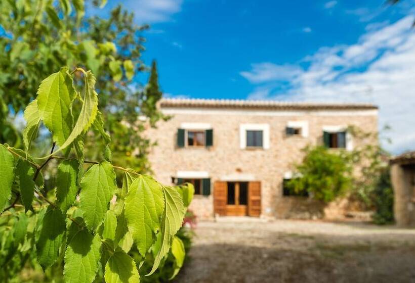 G Rentals Villa Son Gancho