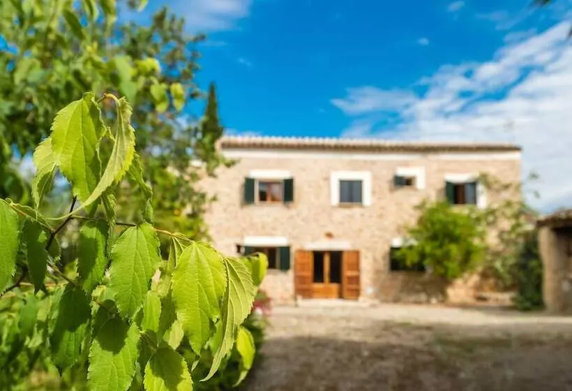 G Rentals Villa Son Gancho