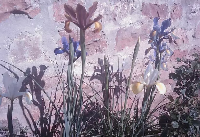 Majatalo La Casa De La Estación