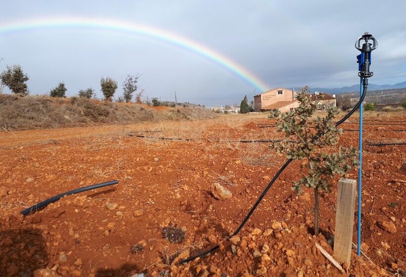 פנסיון La Casa De La Estación