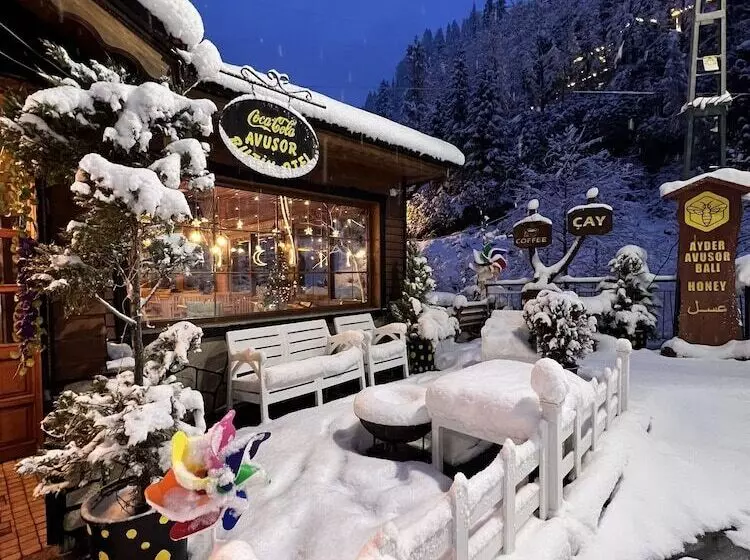 Ayder Avusor Butik Otel
