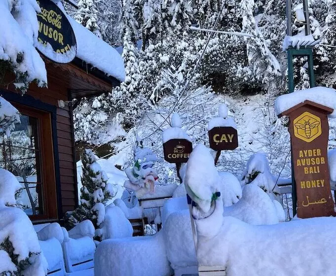 Ayder Avusor Butik Otel