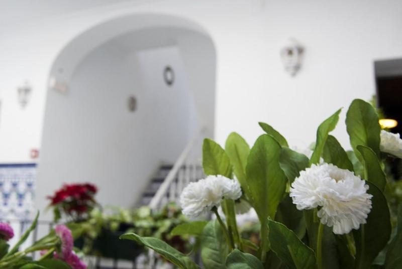 پانسیون Hostel Triana Backpackers