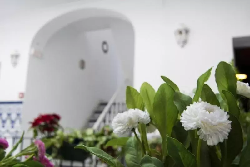 پانسیون Hostel Triana Backpackers