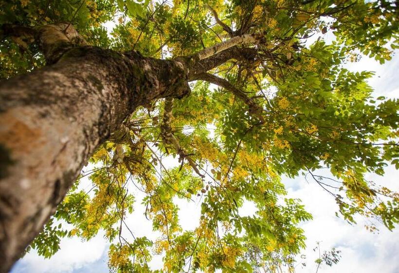 تختخواب و صبحانه Ncnu Campus Inn暨大行旅