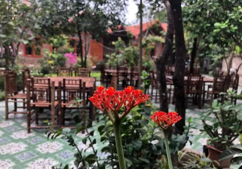 هتل Thanh Dat Homestay