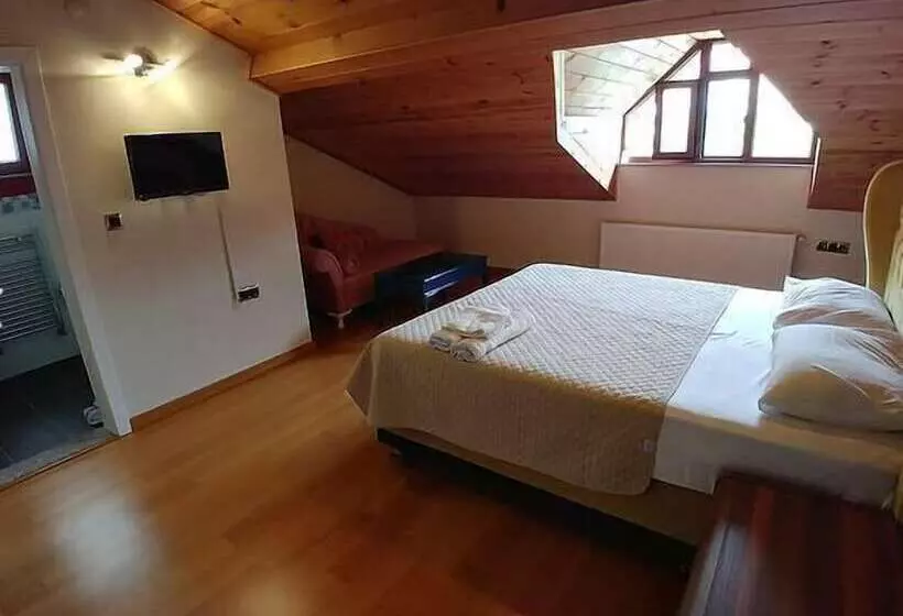 هتل Villa Amasra Pansiyon