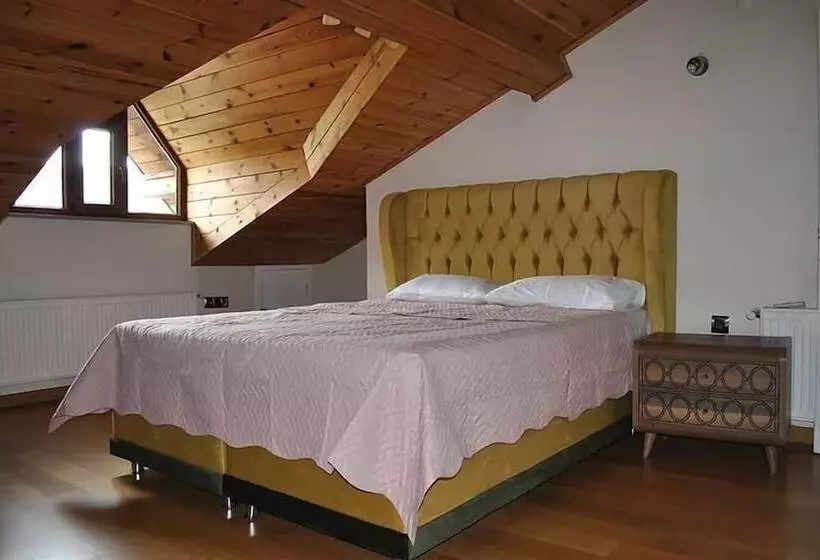 هتل Villa Amasra Pansiyon
