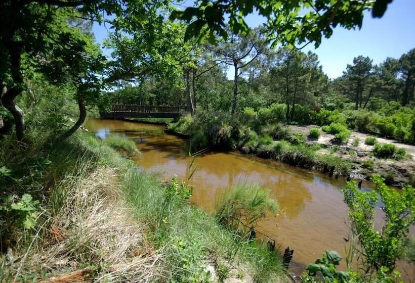 Пансион Aresia