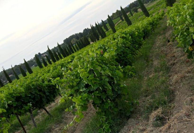 펜션 Gites La Tulisse à Vaison La Romaine