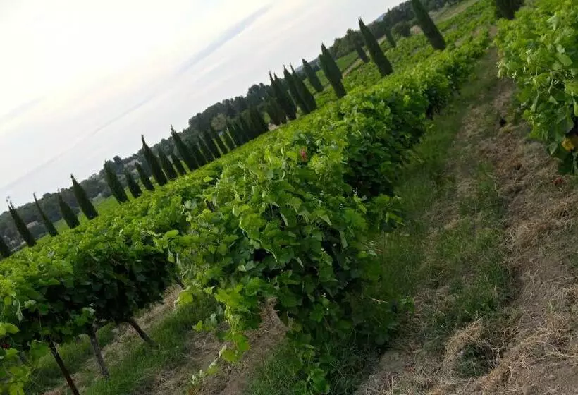 ペンション Gites La Tulisse à Vaison La Romaine