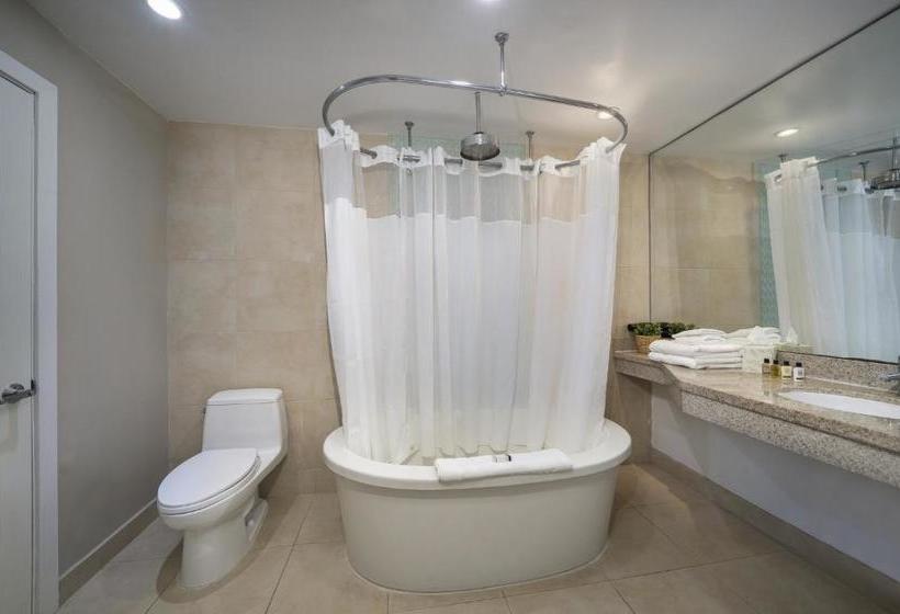 Strand On Ocean By Ss Vacation Rentals Adult Exclusive