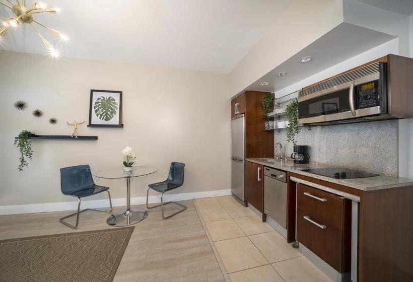 Strand On Ocean By Ss Vacation Rentals Adult Exclusive