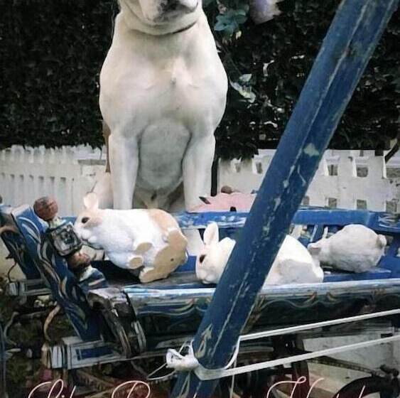 בית מלון כפרי Lila Boutique