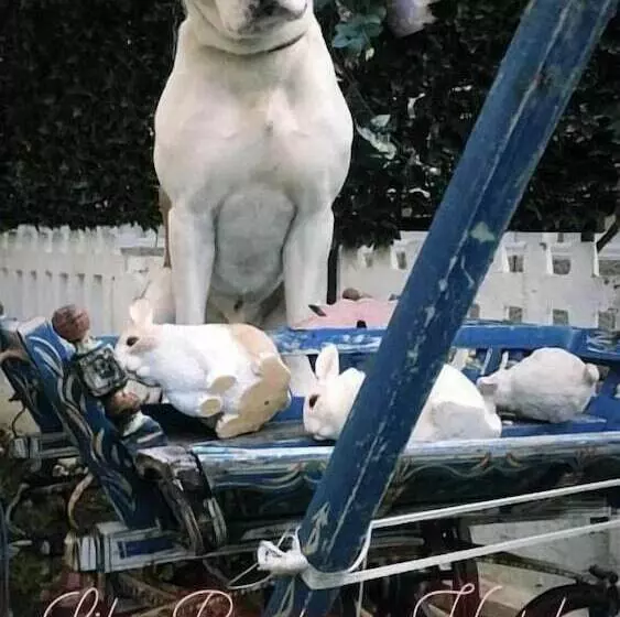 Hotelli Lila Boutique