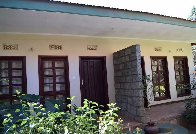 هتل Ngorongoro Lodge & Campsite