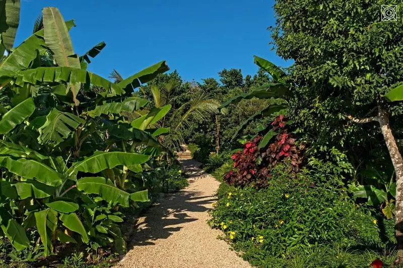 ホテル Zuri Zanzibar