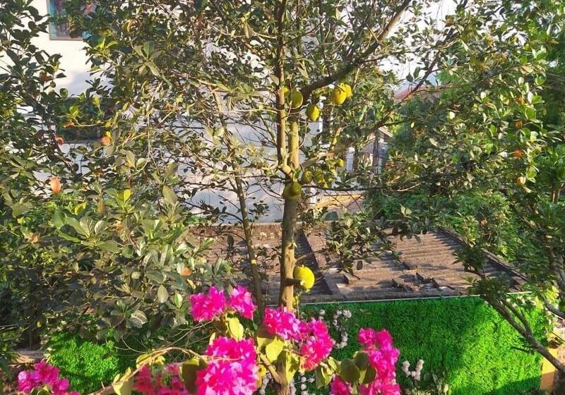 پانسیون Lys Homestay