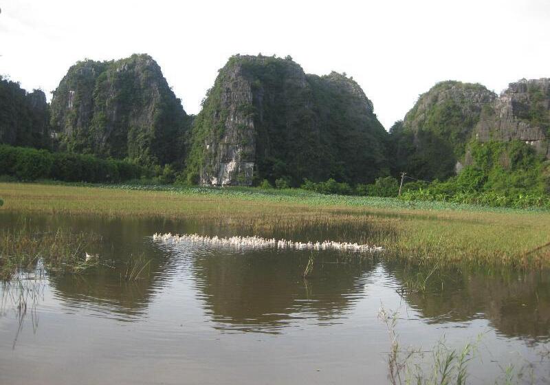 پانسیون Lys Homestay