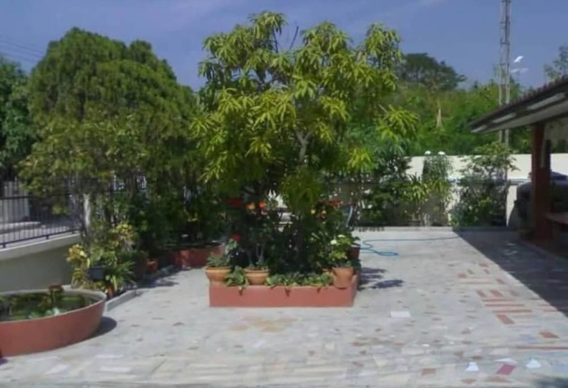 بنسيون Sunflower Guest House Lopburi