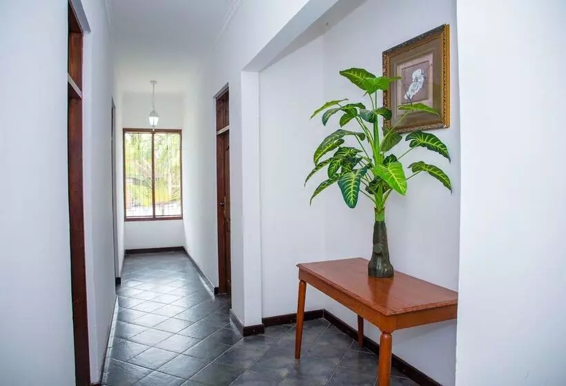 Saadani Tourist Center   Hostel