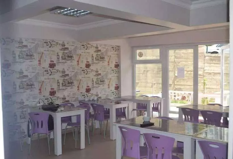 ユースホステル Safrangold Pansiyon