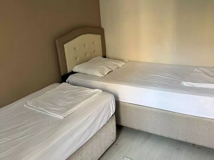 ユースホステル Safrangold Pansiyon