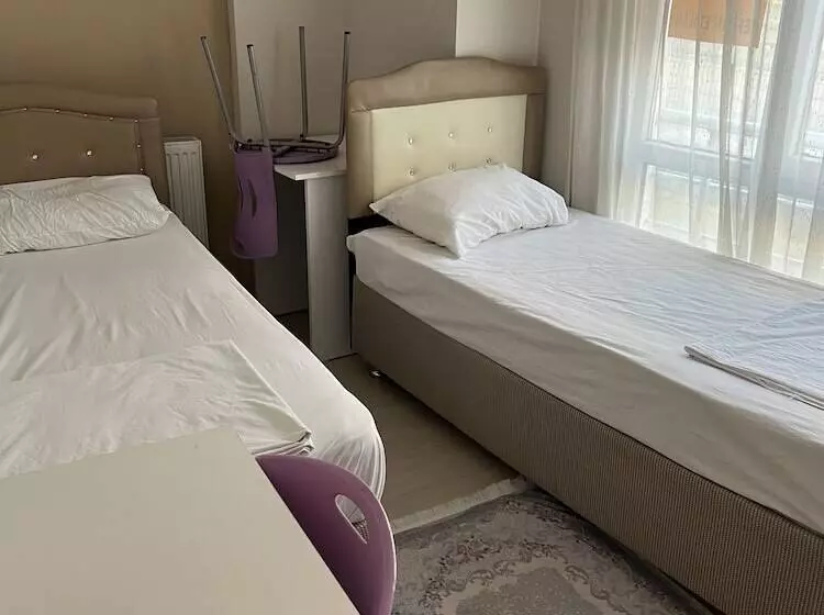 ユースホステル Safrangold Pansiyon