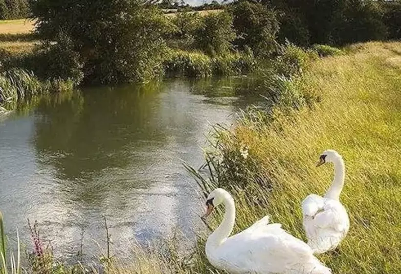 Aamiaismajoitus (B&B) Hillside Holiday Cottages