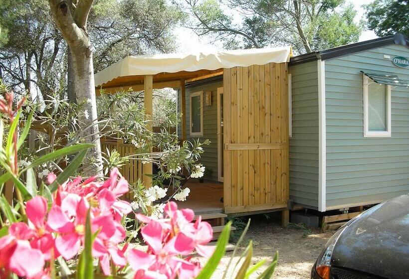 酒店 Camping Lou Cabasson