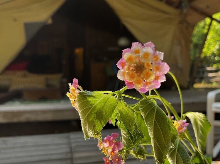 هتل Campo Portakal Eco Glamping