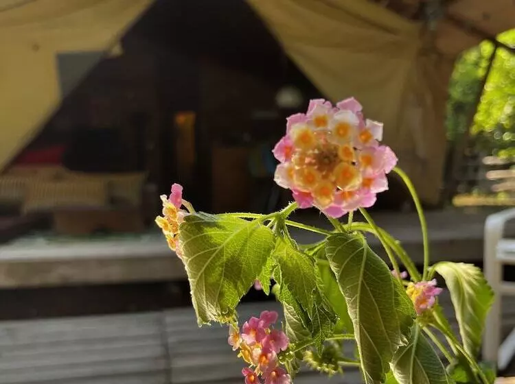 Hotelli Campo Portakal Eco Glamping