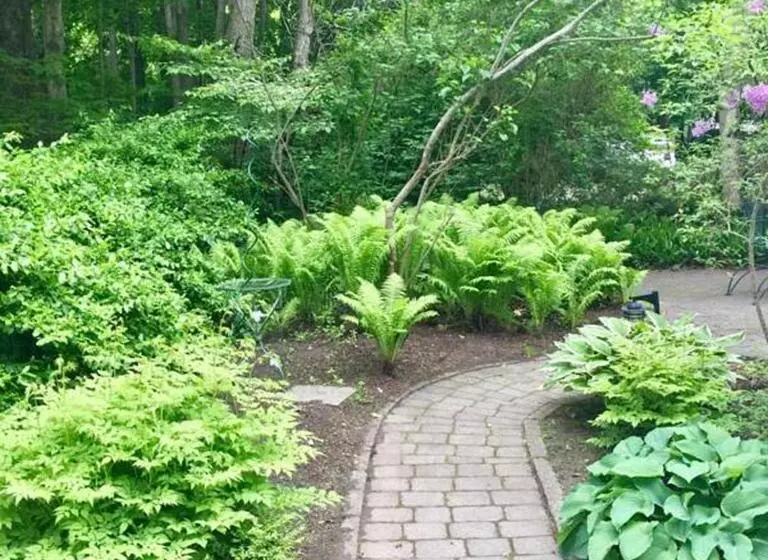 تختخواب و صبحانه Elms Of Camden