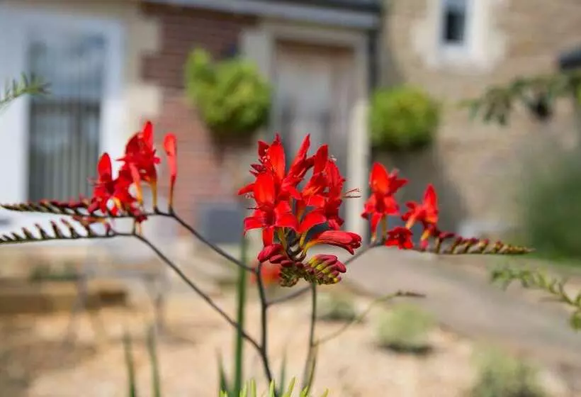 Aamiaismajoitus (B&B) The Old Clubhouse, In Lacock Village