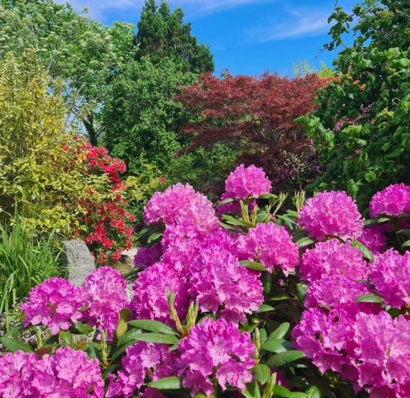 Balcary Bay Country House Hotel